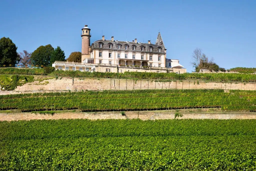 Le Château d'Isenbourg trône en haut d'un coteau à Rouffach